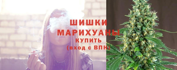 гидропоника Богородск