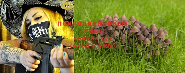 Альфа ПВП Бугульма
