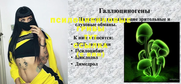 герыч Верхний Тагил