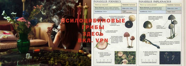 герыч Верхний Тагил